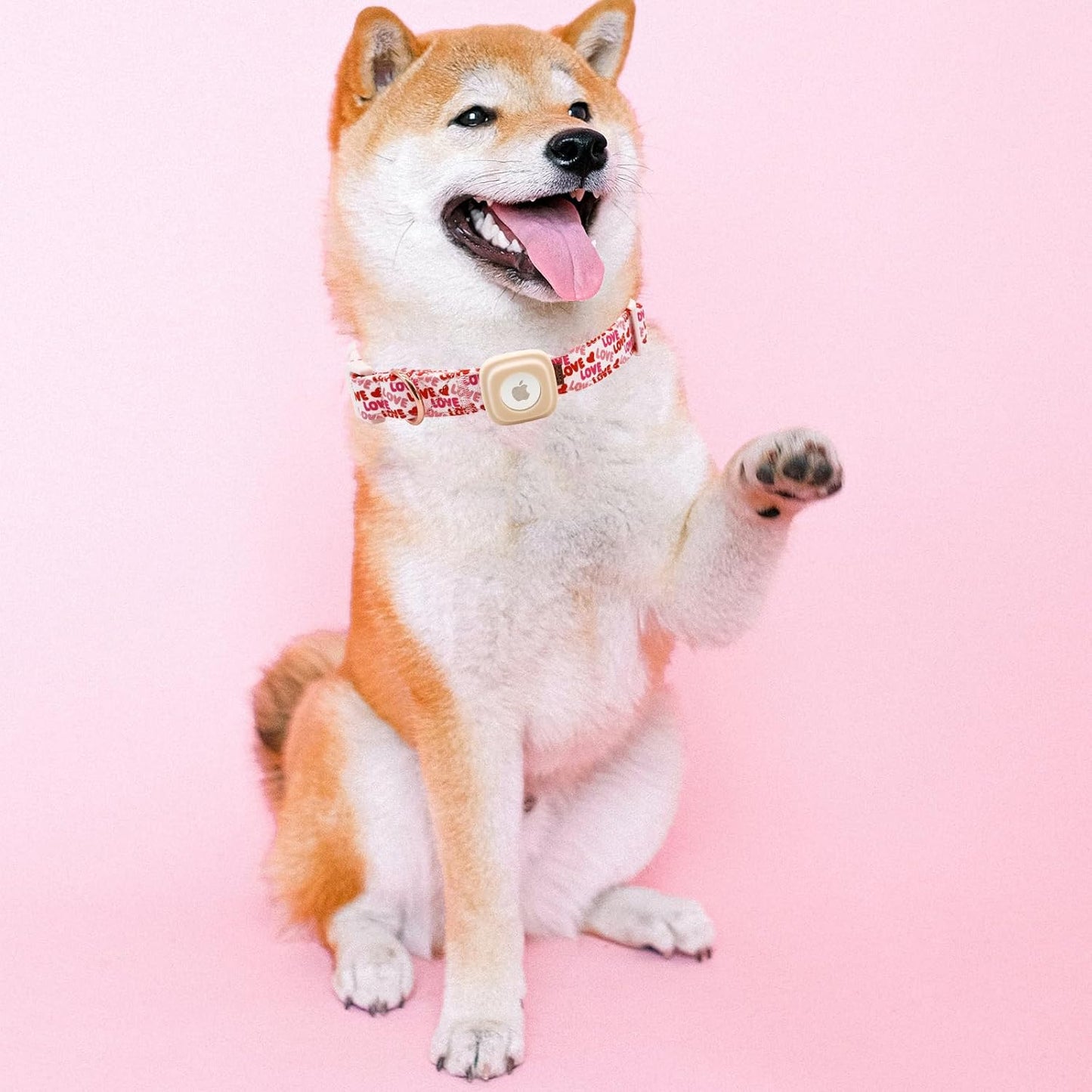 Elegant little tail Airtag Dog Collar, Valentine's Dog Collar Pet with Airtag Holder Heart Pet Collar Dog Girl Boy Puppy Collar Adjustable Dog Collars for Medium Dogs