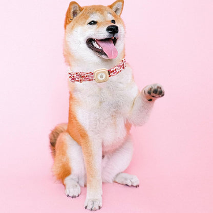 Elegant little tail Airtag Dog Collar, Valentine's Dog Collar Pet with Airtag Holder Heart Pet Collar Dog Girl Boy Puppy Collar Adjustable Dog Collars for Medium Dogs