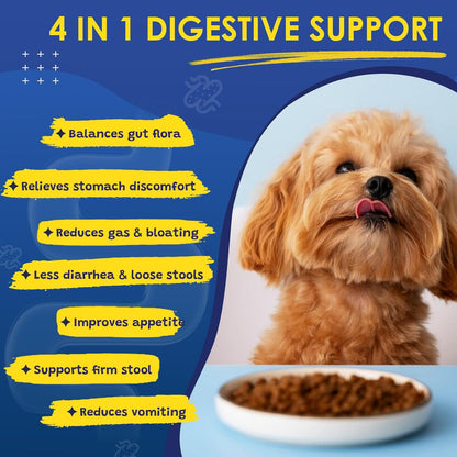 Probiotics & Salmon Fish Oil for Dogs Skin and Coat & Digestive Health