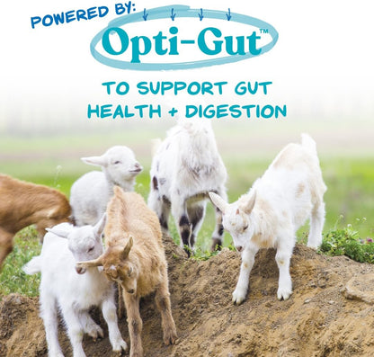 Manna Pro Nurse All Multi-Species Milk Replacer, Great for Calves, Lambs, Goat Kids, Foals, Baby Pigs, Llamas, Alpaca Crias, Puppies & Kittens, Provides Complete Nutrition, 3.5 lb