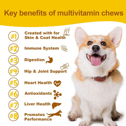Daily Multivitamin for Dogs – Glucosamine Chondroitin, Probiotics & Omega Fish Oil – Supports Hip & Joint, Skin, Coat, Allergy & Immune Health – Vet Approved Chicken Chews, 90 Count