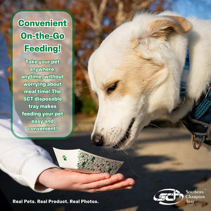 Southern Champion Tray, Small Disposable Pet Food Bowl, 1/2 Cup (10 Quantity) Pet Food Tray, Travel Pet Bowl, Feeding Kittens Puppies Cats and Dogs, Wet Food and Dry Food, 6 oz Capacity