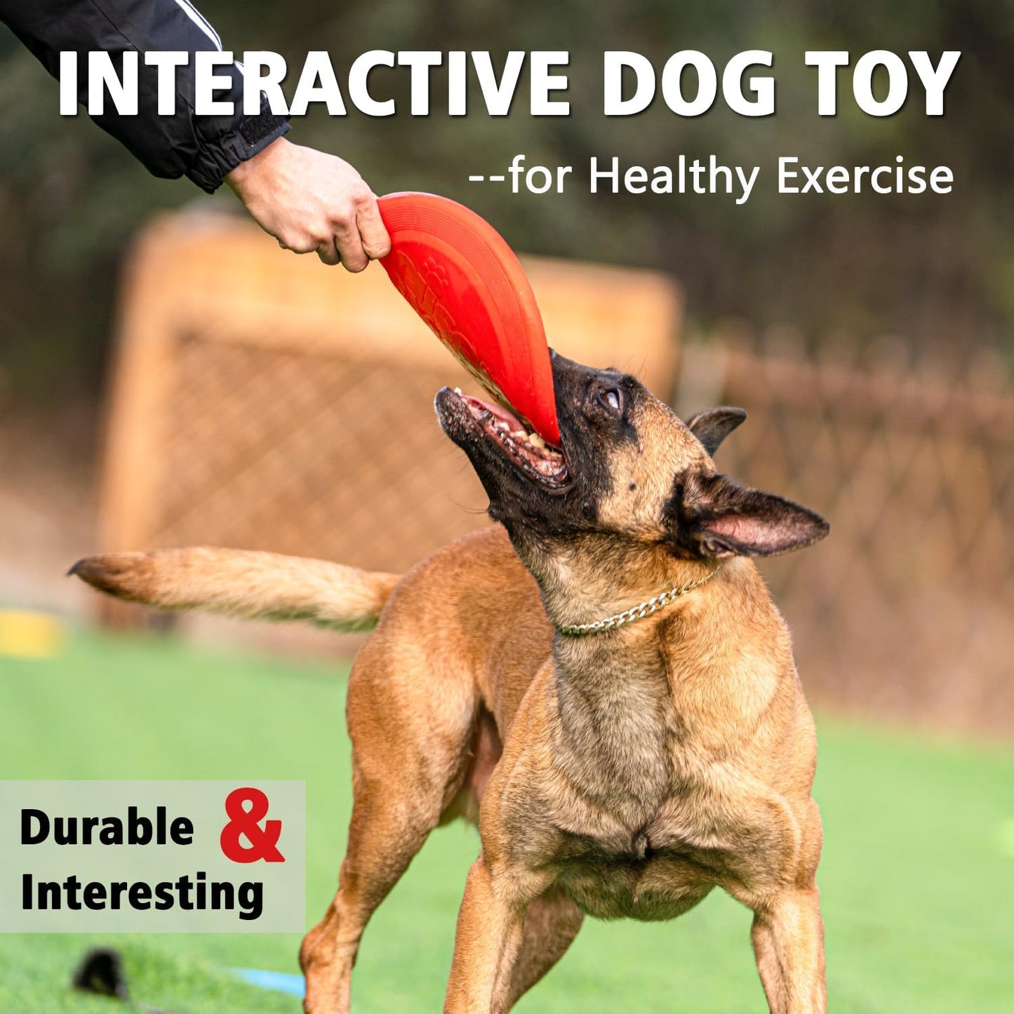 Dog Flying Disc - Durable Rubber Dog Toy for Fetch - Interactive Lightweight Flyer Dog Toys for Outdoor Playtime - Safer Disc for Healthy Activity - for Small/Medium Dogs 2 Pack