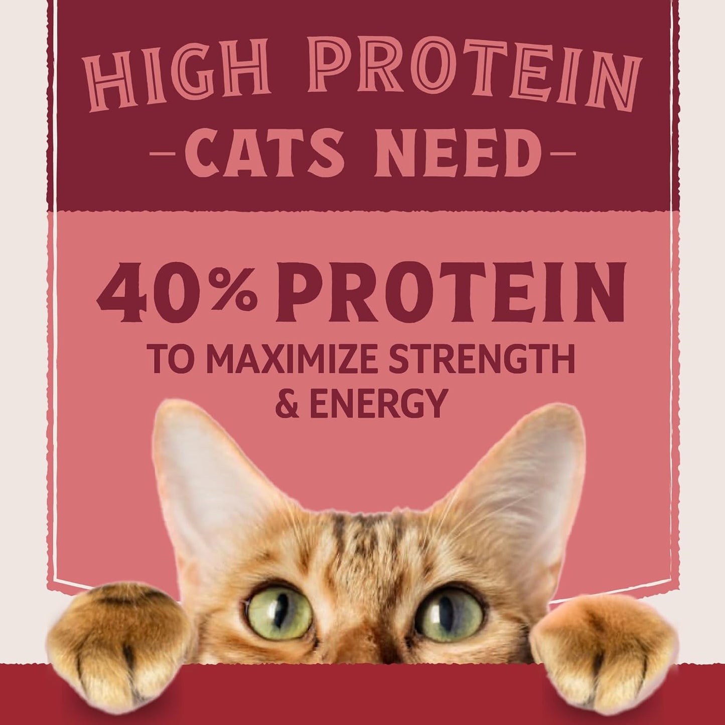 Natural Balance Ultra Protein Dry Cat Food, Real Salmon & Chicken Meal Recipe with Chicken Liver & Chicken Hearts - 3 lbs.