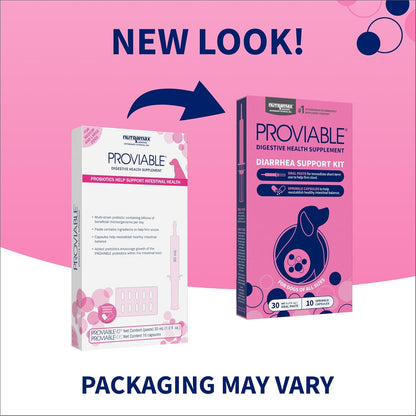 Nutramax Proviable Probiotics for Dogs, Diarrhea Support Kit, Digestive Health Supplement with Multiple Strains of Bacteria, Plus Prebiotics, Kaolin and Pectin, 30 ml Paste and 10 Capsules
