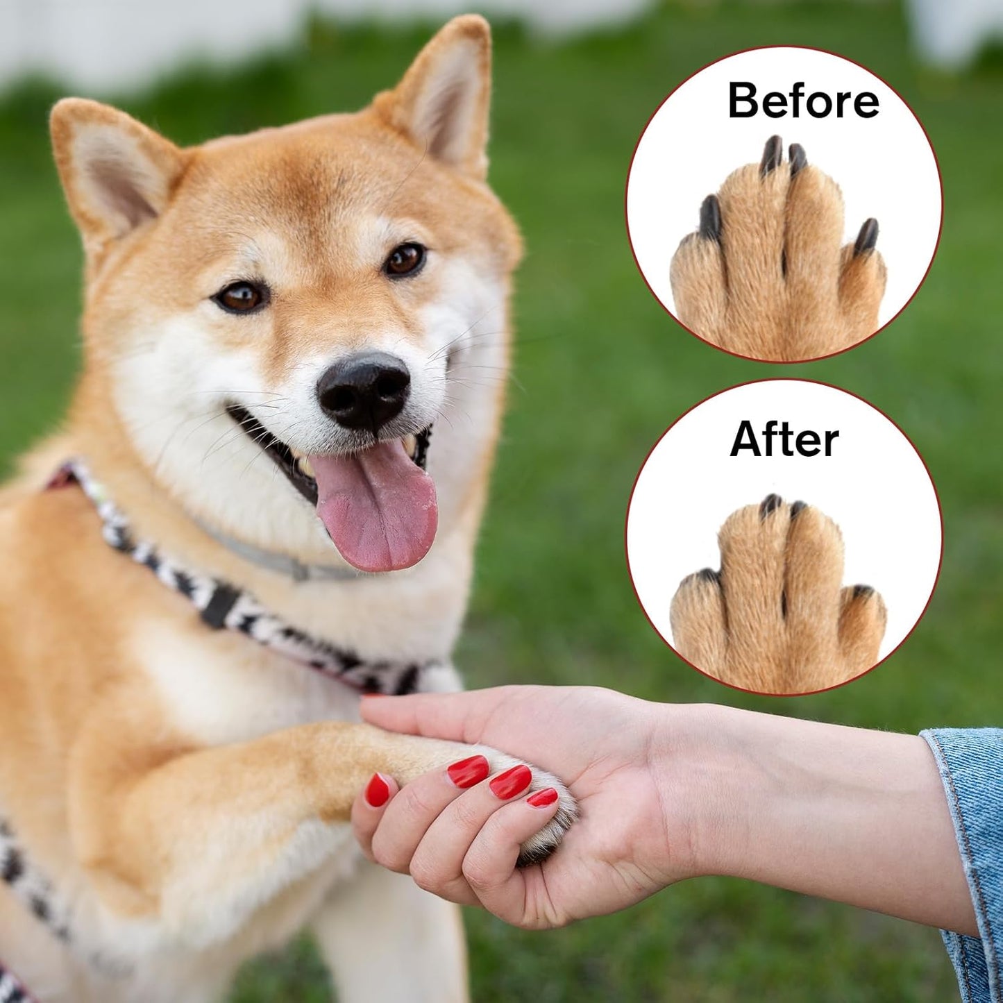 42 Pcs Pet Nail Grinder Replacement Kit with Grit Sanding Bands, Pet Smoother Claw Care Black Grinding Drums Pets Claw Grooming Supplies for Dog Claws Care (1/2 Inch 80/120 Grit)