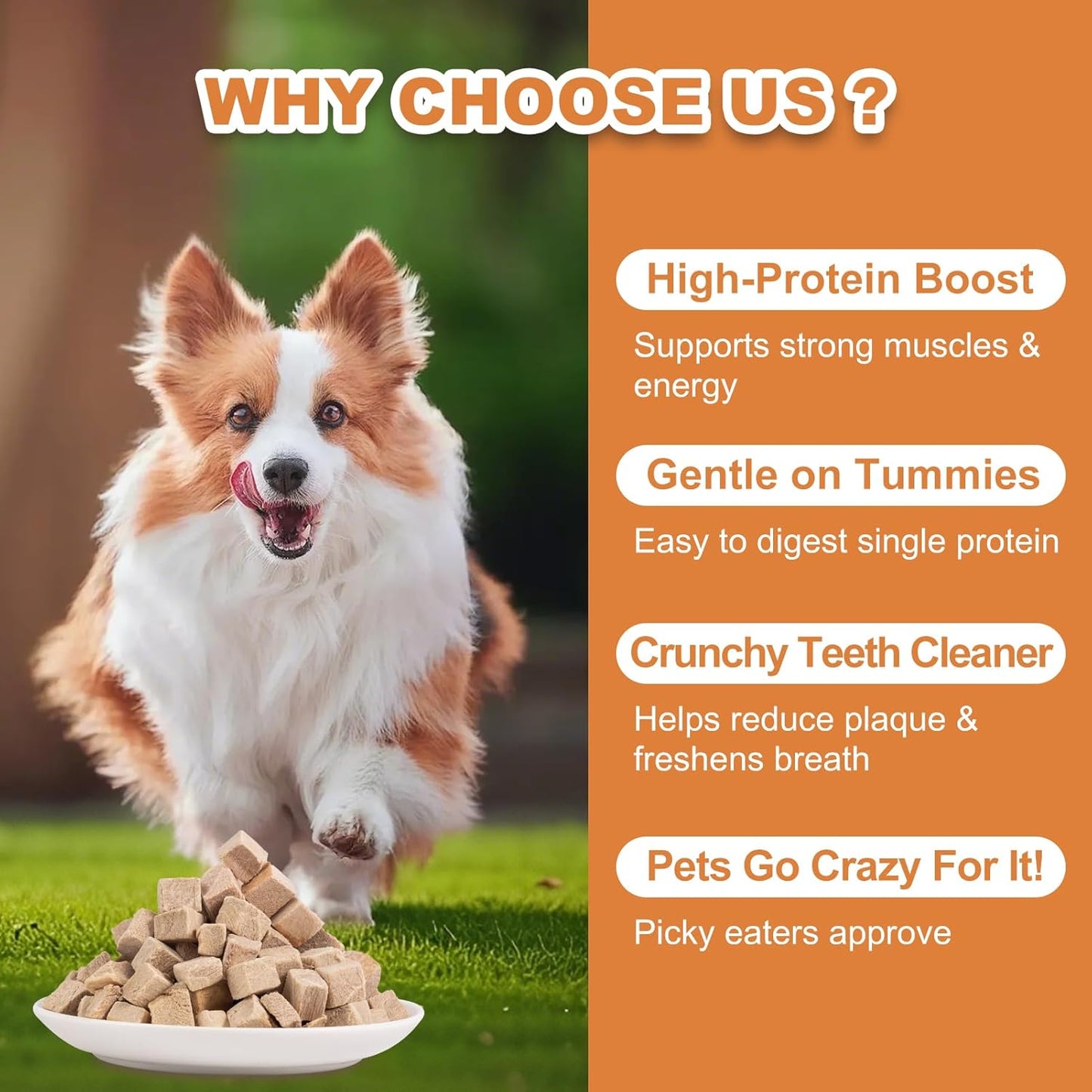 Freeze Dried Duck Dogs & Cats Treats - High Protein Training Treats, Single Ingredient Food Toppers for Kittens,4oz