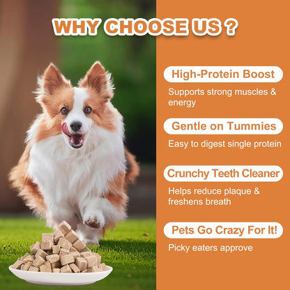 Freeze Dried Duck Dogs & Cats Treats - High Protein Training Treats, Single Ingredient Food Toppers for Kittens,4oz