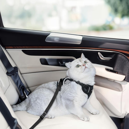 Cat Harness and Leash for Walking, Cat Car Harness, Escape Proof Soft Adjustable Vest Harnesses for Cats, Easy Control Breathable Reflective Strips Harness, Kitten Harness and Leash Set, Black, S