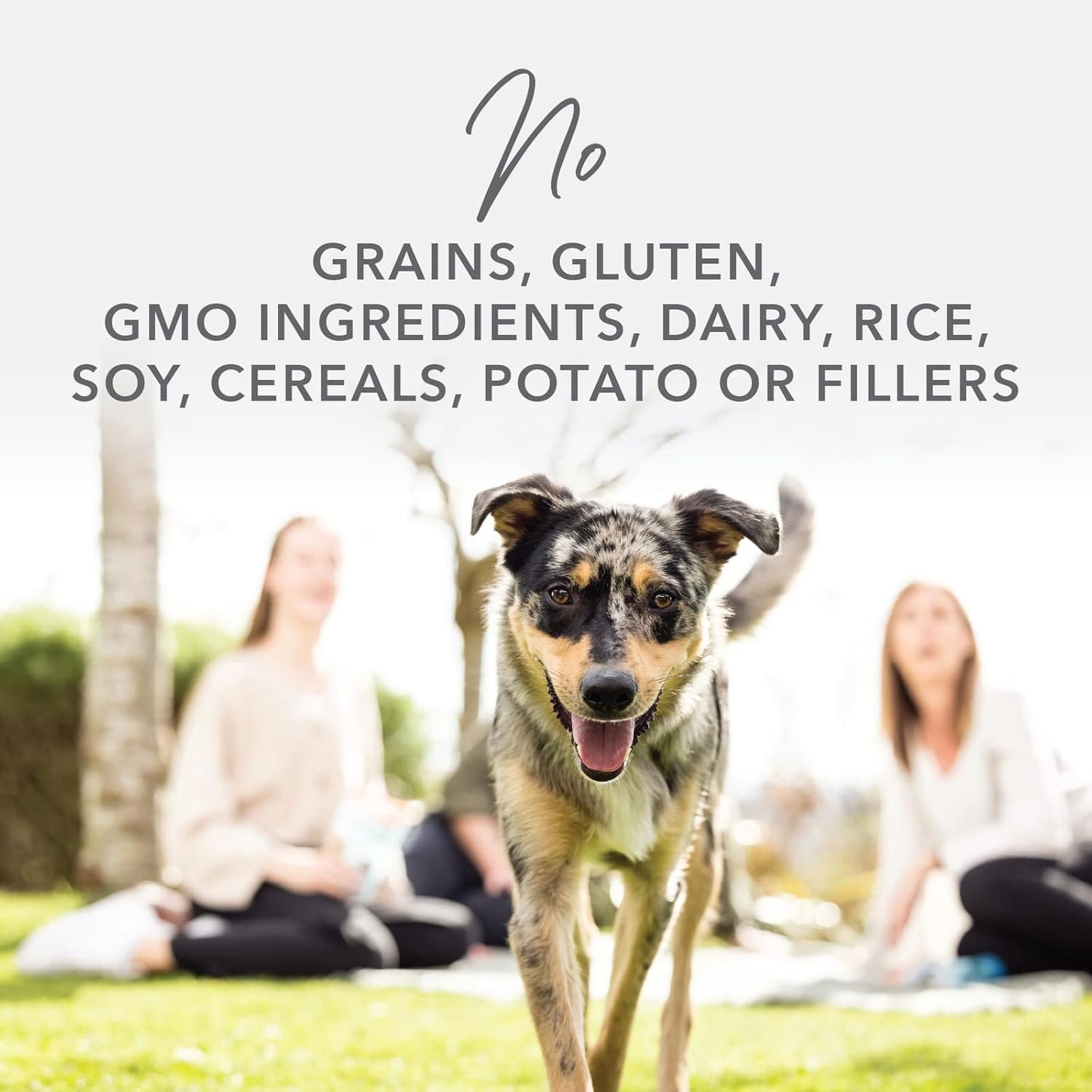 K9 Natural - Grain Free Freeze Dried Dog Food - Lamb, 1.1lb and Hoki & Beef, 17.6oz