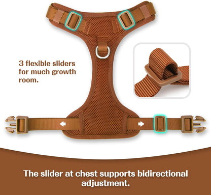 No Pull Dog Harness for Small Medium Large Dogs - Adjustable 2 Layer Mesh Dog Vest with Dual Clip, Escape Proof, Quick Release, Lightweight Breathable Mesh for Walking Hiking (Carmel Brown,XS)
