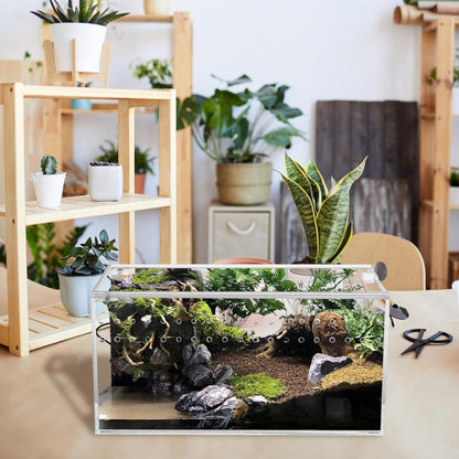 Acrylic Tarantula Enclosure Terrarium, 8" x 4" x 4" Small Magnetic Reptile Tank, Micro Spider Breeding Habitat Cage, Clear Ventilated Lizard Display Box for Hermit Crab Invertebrates Scorpion