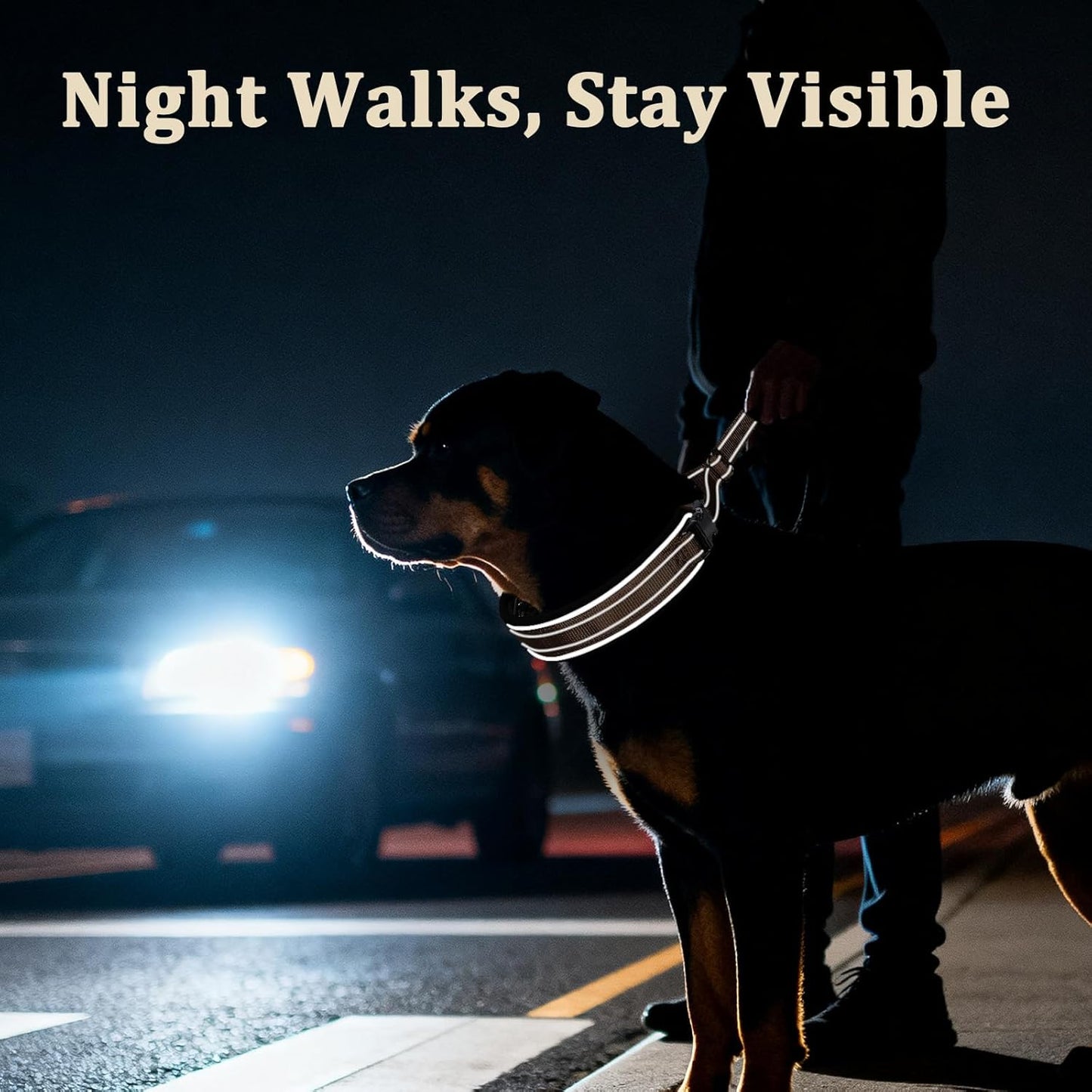 Mayerzon Prong Collar for Large Medium Dogs, Patented Reflective Pinch Collar with Metal Buckle, No Pull Adjustable Hidden Covered Dog Walking Training for Pitbull German Shepherd Doberman (Brown, XL)