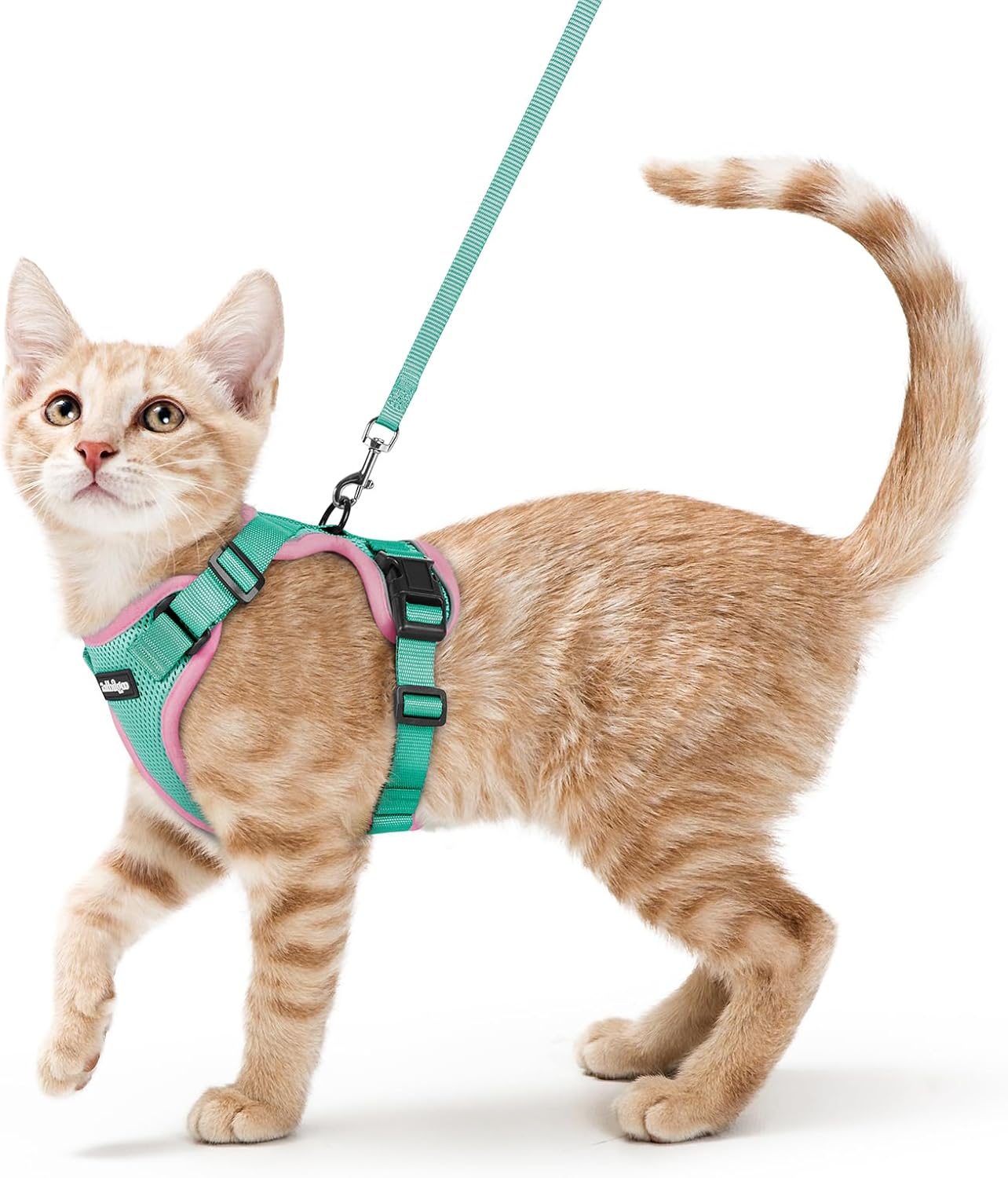 rabbitgoo Cat Harness and Leash for Walking, Escape Proof Soft Adjustable Vest Harnesses for Cats, Easy Control Breathable Reflective Strips Jacket, Green&Pink, S