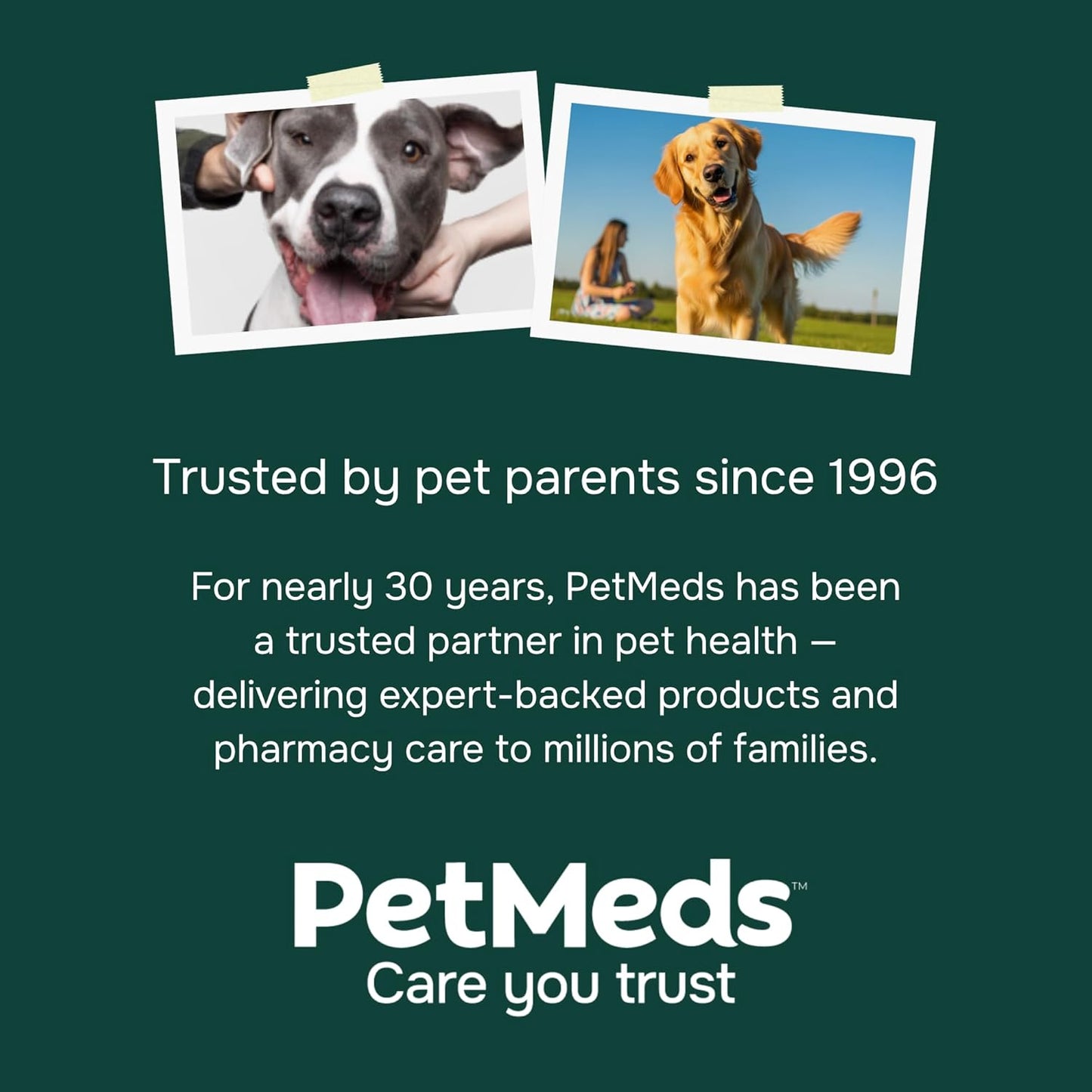 PetMeds Multivitamin Supplement for Dogs - Daily Vitamin with Kelp, Spirulina, Ashwagandha, Glucosamine & Probiotics for Immune, Joint, Skin & Gut Health - Beef & Sweet Potato Flavor - 60 Soft Chews