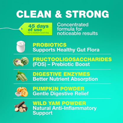 Probiotics for Dogs Gut Health, Digestion, Immunity, Yeast Balance, Itchy Skin, Allergies Support - Dog Probiotic Chews with Digestive Enzymes for Gut Flora- Soft Treats with Pumpkin and Yeast Powder