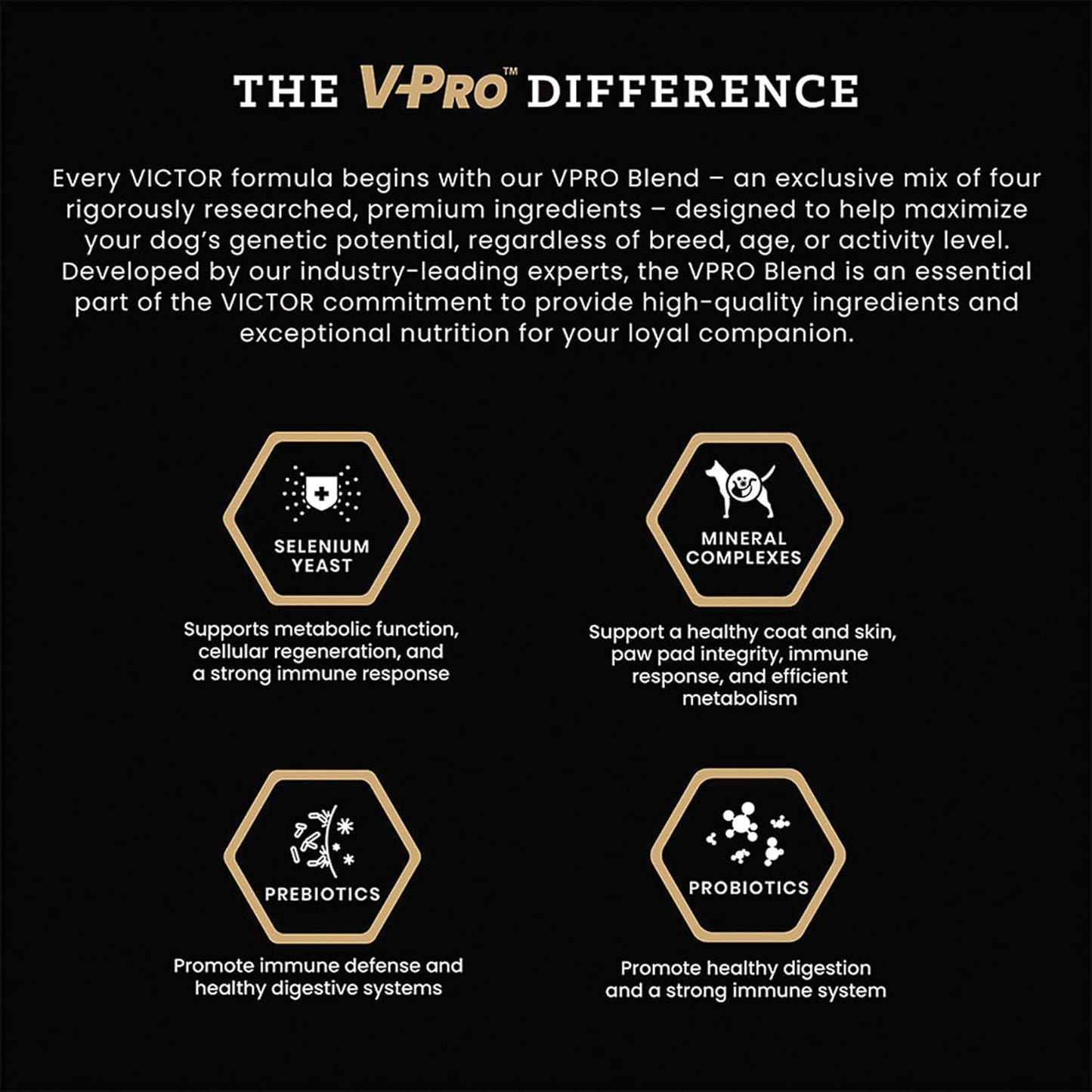 VICTOR Super Premium Dog Food – Professional Dry Dog Food – Super Premium Kibble with 26% Protein – Gluten-Free with Beef, Chicken & Pork Meals – for High Energy and Active Dogs & Puppies, 30lbs