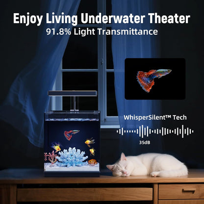 Beta Fish Tank, 2 Gallon Betta Fish Aquariums with Filter & Light, for Men, Fish Tanks for Kids & Starter, Black