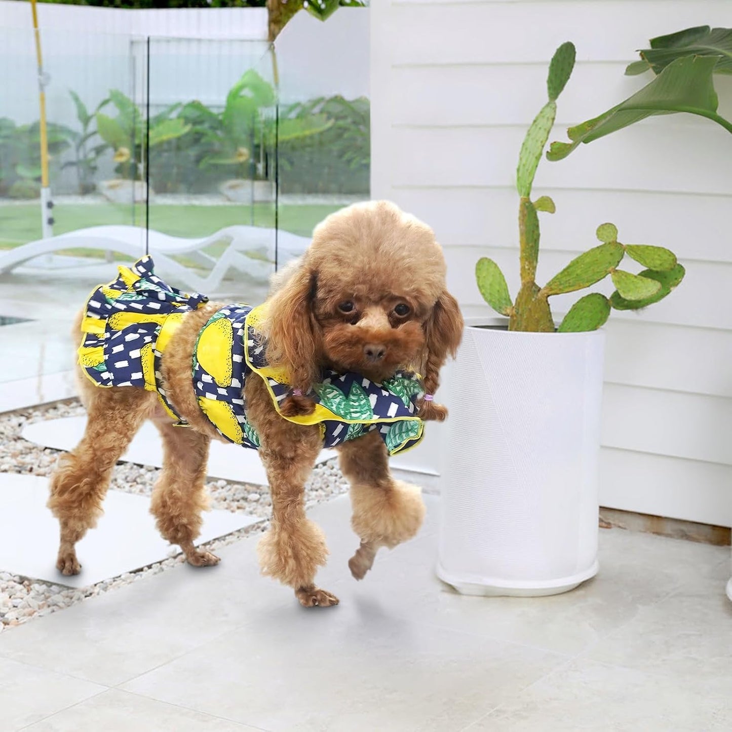 Girl Dog Sports Dress and Dog Dress Puppy Clothes, Puppy Summer Dresses