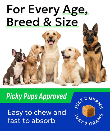 BARK&SPARK Advanced Omega-3 Collagen for Dogs - 180 Fish & Salmon Oil Treats for Dog Shedding, Skin Allergy Chews, Itch Relief, Hot Spots Treatment - Joints, Skin&Coat Supplement, EPA&DHA Fatty Acids