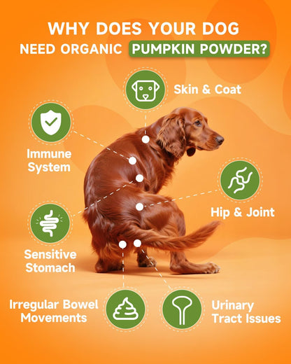 Pumpkin for Dogs - Organic Dog Pumpkin Powder - Daily Support Digestion, Diarrhea, Constipation, Upset Stomach - with Apple, Cranberry, Probiotics, Amino Acid - Urinary, Joint, Skin, Immune Health