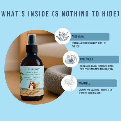 The 100% Natural Dog Cologne Spray - Tropical Bliss Dog Perfume - Calming- Vegan - Chamomile, Calendula & Aloe Vera calming - Pet Deodorizing Spray - Made in the UK - 10 Fl Oz