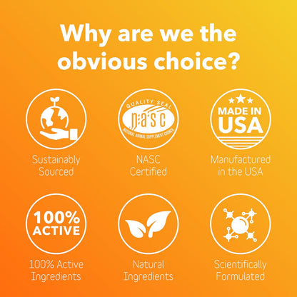 In Clover Dog Skin and Coat Supplement, BioRadiant Natural Supplement for Dogs, Healthy Skin and Coat, Fish Oil Alternative Uses Carrots, Coconut, Omega 3's, Biotin and Zinc Soothe Skin