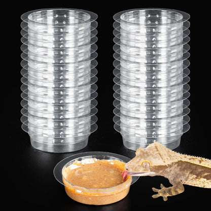 REPTIZOO 30PCS Feeding Cups for Reptile Magnetic Feeder Ledge, Replacement Cups for REPTIZOO Food Water Feeder Dish Gecko Feeding Ledge