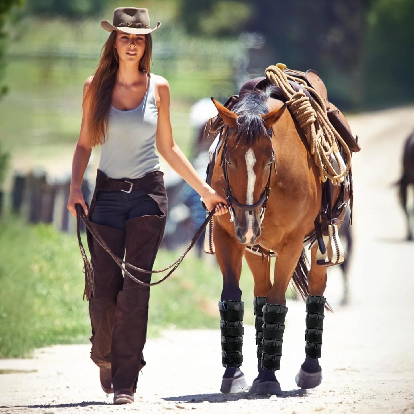 Horse Leg Wraps Set of 2, Horse Ice Leg Boots Perfect for Equestrian Training& Daily Use, Comfortable and Premium Support for Injury Recovery to Fit for All Horses(Black & Blue, 2Pack)