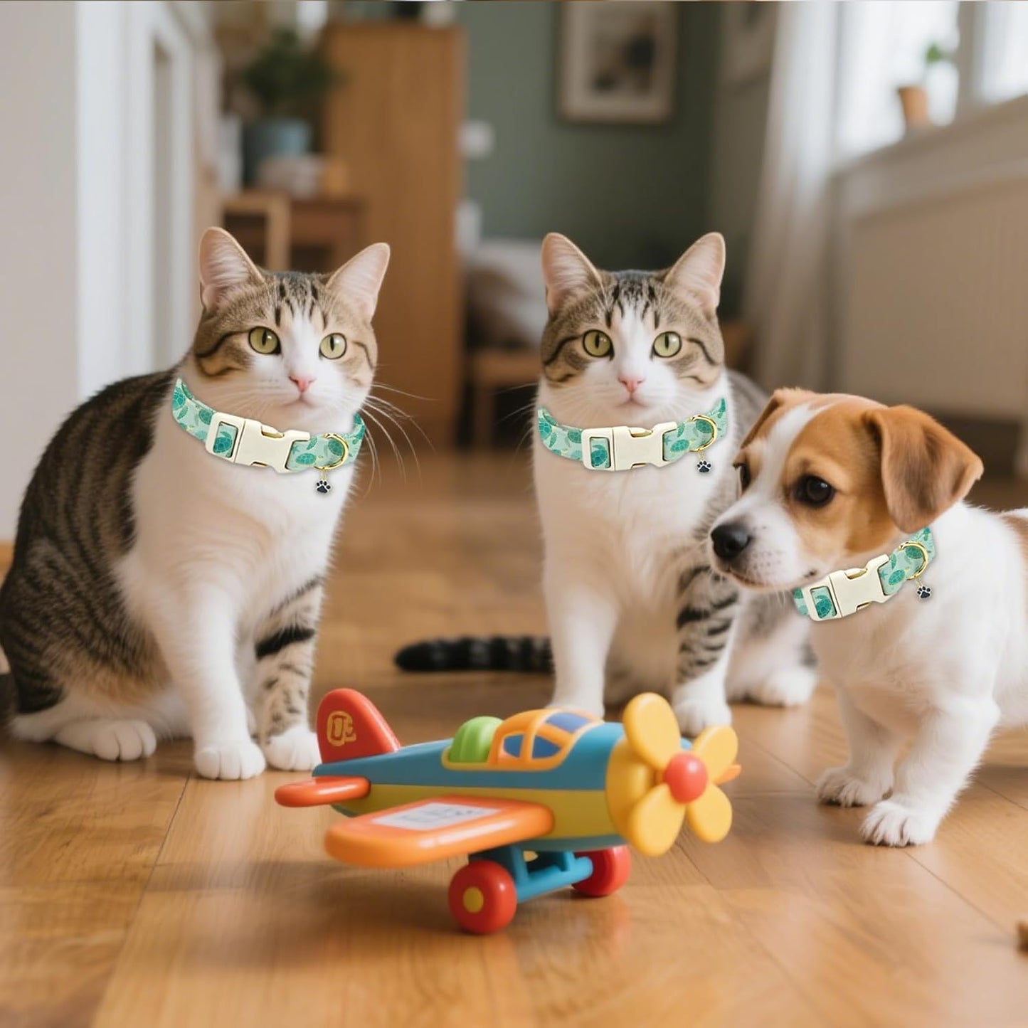 GLOBLELAND Sea Turtles Patterned Dog Collar for Daily Pets Sea Animals Puppy Collars Ocean Adjustable Soft Pet Scarf with Quick Release Buckle for Small Dogs Walking Running