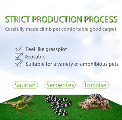Tfwadmx Reptile Carpet, 2 Pack of Bearded Dragon Mat Terrarium Substrate Liner Bedding for Snake Turtle Lizard Geckos Hermit Crabs (24'' X 16'')