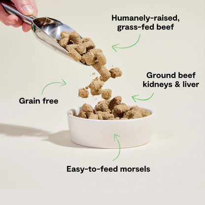 Open Farm, Freeze Dried Raw Dog Food, Morsels with 95% Meat, Organs & Bone, Organic Produce & Superfoods, Complete Meal or Freeze Dried Dog Food Topper, Grass-Fed Beef Recipe, 13.5oz Bag