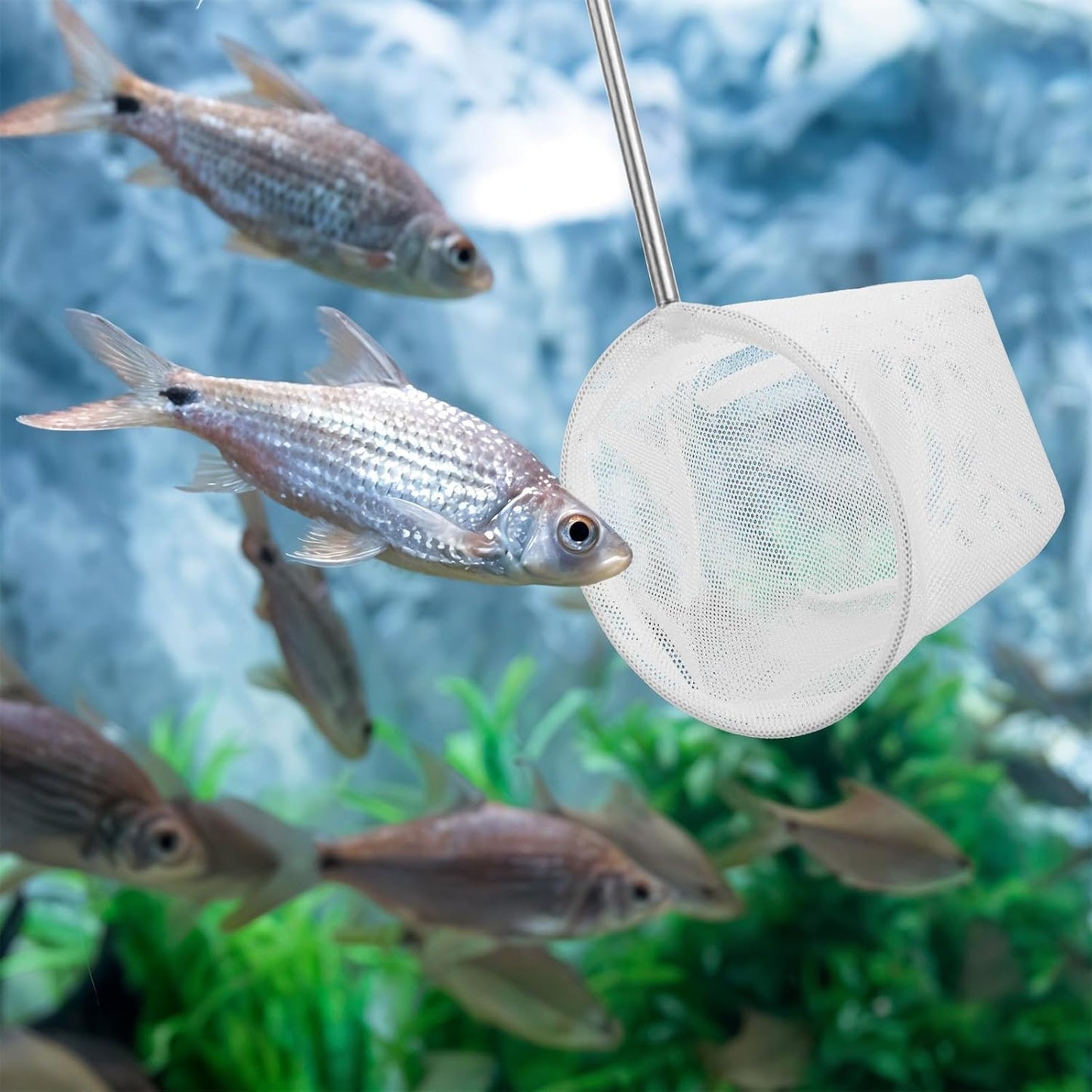 2 Pcs Extendable Aquarium Net Small Fish Net for Fish Tank Fishing Tank Nets Small with 5-16 Inch Stainless Steel Long Handle, Fine Mesh for Fishes Shrimp Pond Creek, 3In 4In