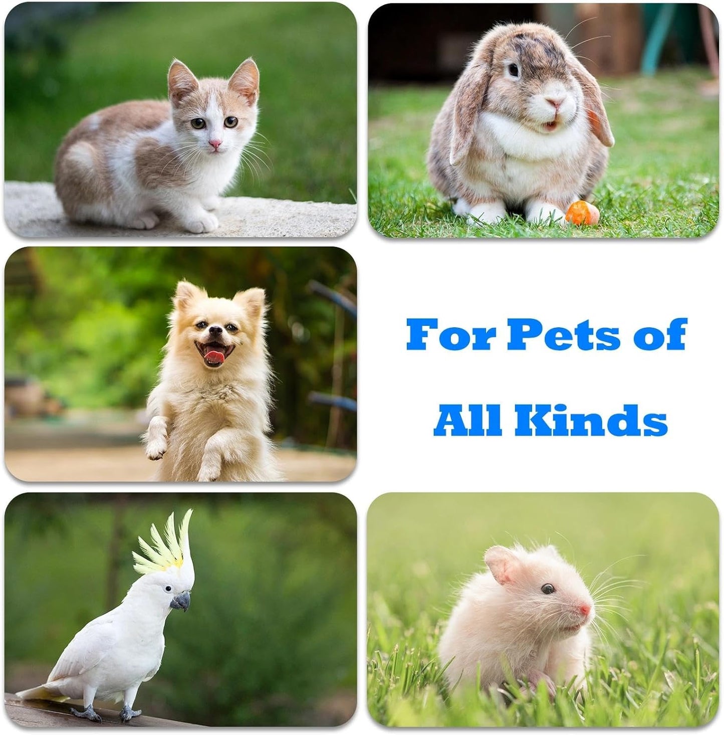 ABSONE Dog Clicker for Training with Wrist Strap, Training Clicker for Puppy, Cat, Potty, Bird, Horse, Pet, Dog Clicker Trainer Training Tools, Behavior Aids, 2 Pack Black and Green