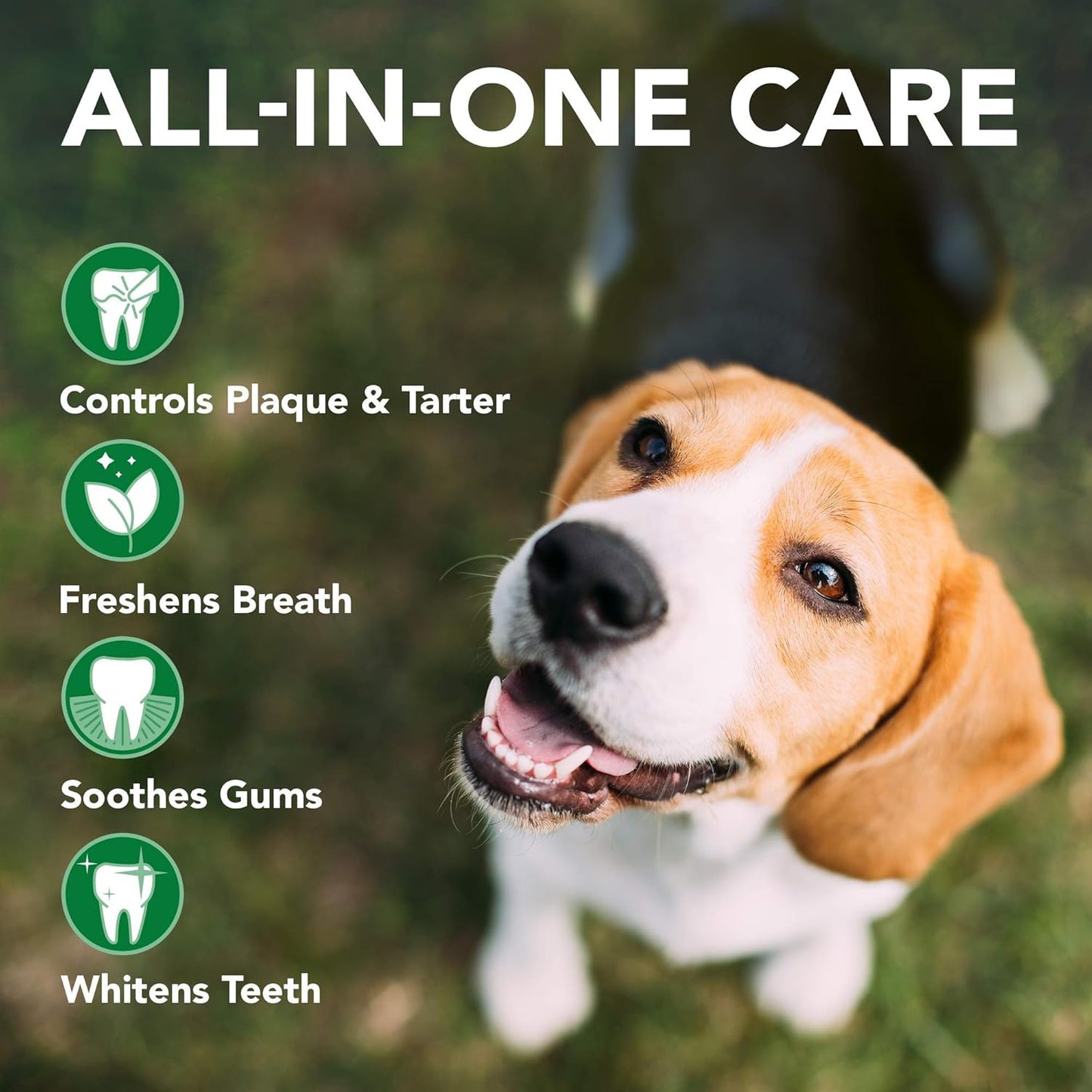 Wet Ones for Pets Multi-Purpose Dog Wipes with Aloe Vera, 100 Count - 3 Pack & Vet's Best Dog Toothbrush & Toothpaste Kit - Natural Ingredients Reduce Plaque, Whiten Teeth, Freshen Breath