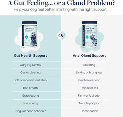 Veterinary Formula Anal Gland Support for Dogs – Vet-Formulated No Scoot Chews with Pumpkin, Ginger, Agave Inulin & Probiotics – Supports Scooting, Stool Quality & Digestive Health, 60 Soft Chews