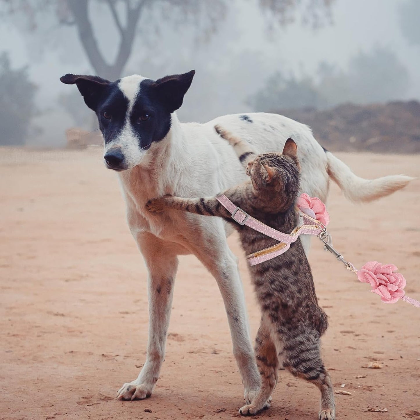 ERINGOGO Cat Harness and Leash Adjustable Cotton Linen Traction Rope 1.0Cm Light Pink Breathable Outdoor Walking Strap for Cats and Kittens