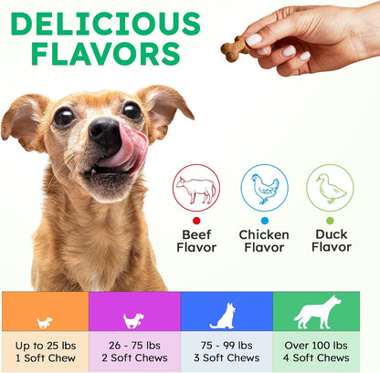 Dog Vitamins and Supplements - 150 Dog Multivitamin Chewable - Immune, Joint Support, Skin, Gut Health + Packed with Omega 3s, Glucosamine & Probiotics - Safe for Puppy - Chicken