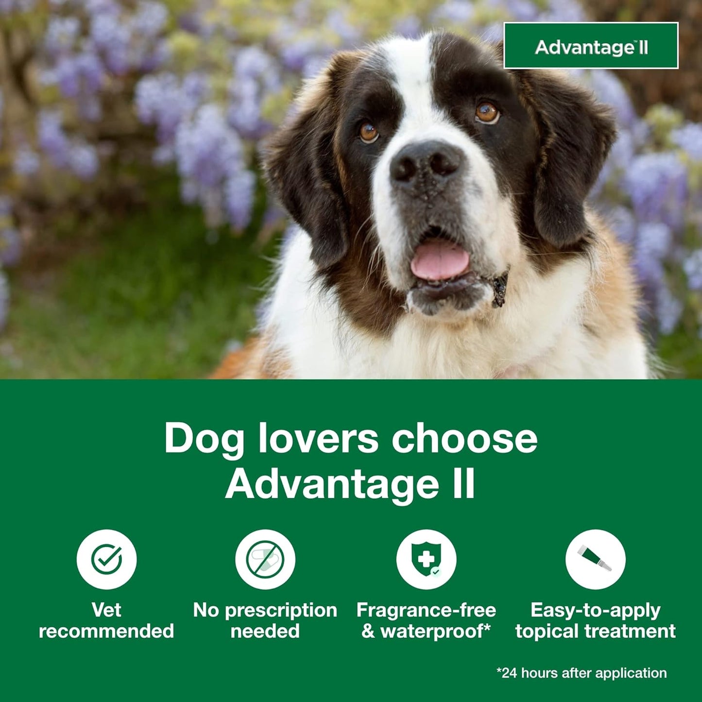 Bundle of Advantage II XL Dog| Dogs Over 55 lbs. | 4-Month Supply + Pet Protect Body Comfort+ Supplement for Dogs | 60 Chews
