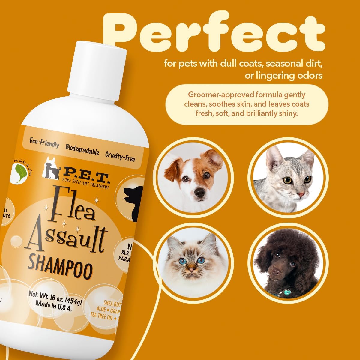 P.E.T. Flea Assault Pear Pomegranate Shampoo for Dogs & Cats — Deep-Cleansing & Deodorizing Formula — Soothes Skin, Hydrates & Adds Shine — Sulfate-Free, pH-Balanced, Hypoallergenic — 16 oz