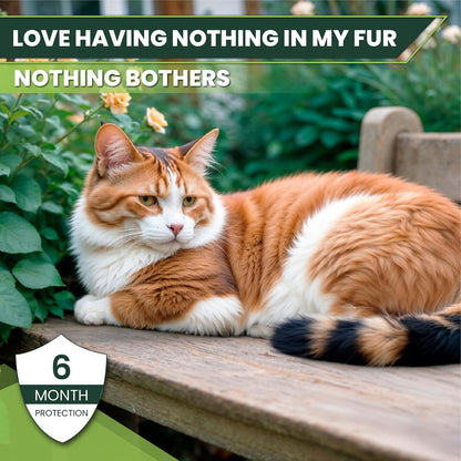 Flea and Tick Prevention for Cats: Flea & Tick Topical for Cats Over 1.5lbs, 6 Dose Flea and Tick Control/Prevention for 6 Months (6 Pack)