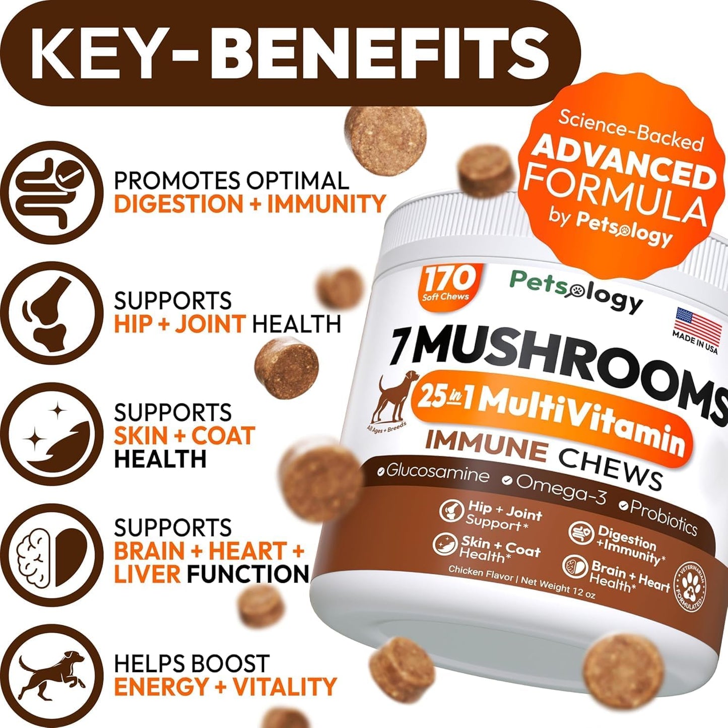 Turkey Tail Mushroom for Dogs - 170 Chews - Lion’s Mane - Shiitake - Reishi - Buddy Immune Support Guard - Mushroom Supplement for Dogs Lumps and Bumps Glucosamine, Health Vitamins Multivitamin