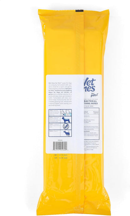 Wet Ones for Pets Multipurpose Dog Wipes with Aloe Vera, Tropical Splash Scent - Extra Large Pet Bathing Wipes with Wet Lock Seal for Dog Paws & All Over Use, 10 Count - 3 Pack