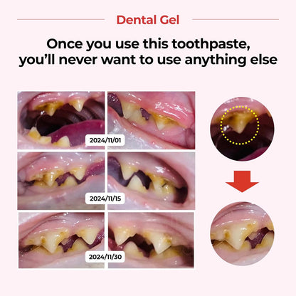 JAYU PET Dental Gel - Dog Cat Toothpaste, Removing Plaque and Tartar, Teeth Cleaning & Breath Freshener, Puppy Kitten Dental Care with Vet Approved (2.82oz. 80g)