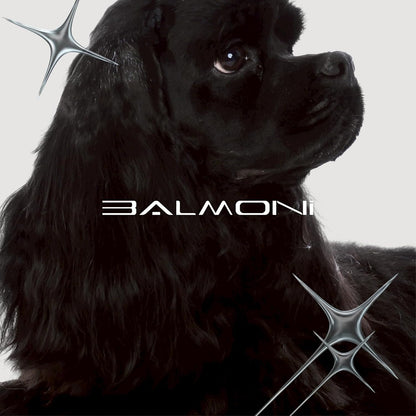 Professional Coarse + Fine 5-in-1 Clipper Blades (2-Pack) for 580 Series – Adjustable 0.6–2.8mm Detachable Metal Blades, Wahl Compatible, Steel Comb Ready