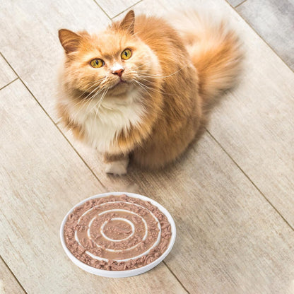 Ceramic Cat Slow Feeder,Shallow and Wide Opening Dish for Whisker Friendly,Anti Knocked Over Heavy Plate Bowls for Puppy Kitten Dry and Wet Food