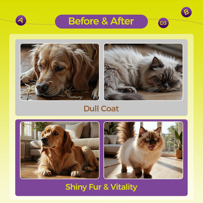 Dog Multivitamin Chewable Cat & Dog Vitamins and Supplements for Hip & Joints, Skin & Coat, Omega 3 Fish Oil for Dogs Tablets for Dogs & Cats, Vitamins- Immune Support 0.3g Per Tablet (100g)