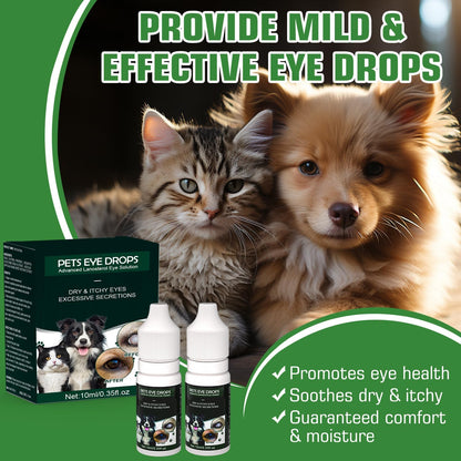 BrennenstuhlCataract Drops for Dogs - Pet Dog Eye Drops for Relieving Eye Itching and Clean Tear Stains - Removing Eye Stains - Improving Clarity - All Natural Pet Eye Health Care (2 X 10 ml)