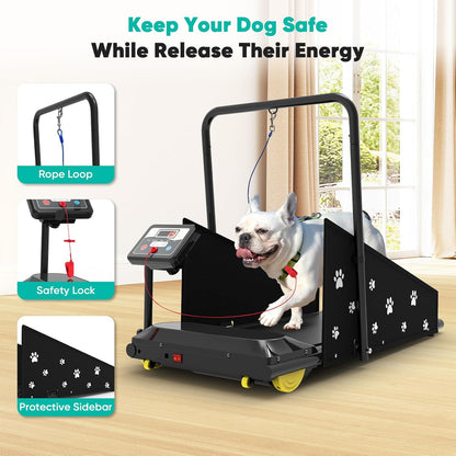 Petbobi Dog Treadmill for Small & Medium Dogs- Quiet Indoor Pet Exercise Machine with 360° Rotatable Display, Remote Control & Wheels, Heavy-Duty 265 lbs Capacity for Fitness & Weight Management