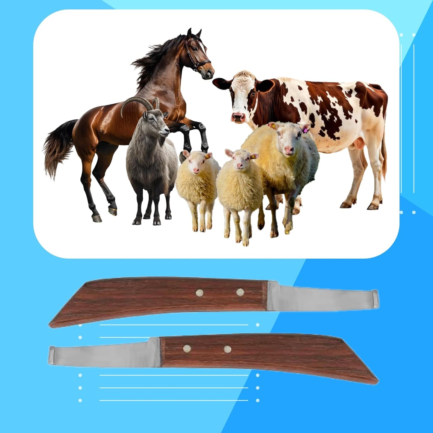 Hoof Knife Single Sided Edge Wide Straight Blade – Stainless Steel Straight Blade Farrier Tool with Wooden Handle, Multipurpose Hoof Trimming Knife for Livestock, 3-Inch Blade, 8.5-Inch Overall